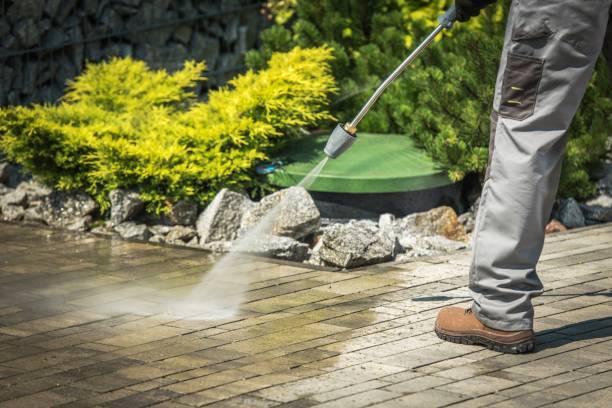 Trusted Laguna Vista, TX Pressure Washing Services Experts