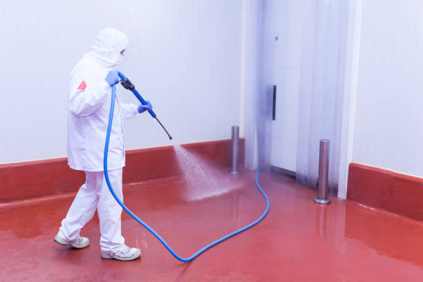 Spring Cleaning in Laguna Vista, TX