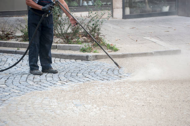  Laguna Vista, TX Pressure Washing Pros