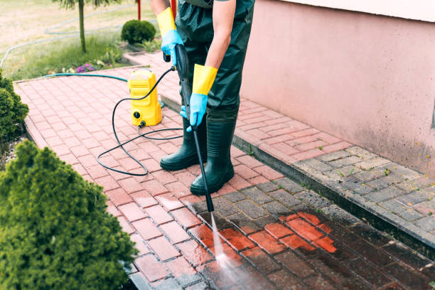 Best House Exterior Washing  in Laguna Vista, TX