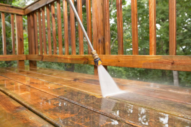 Best Driveway Pressure Washing  in Laguna Vista, TX